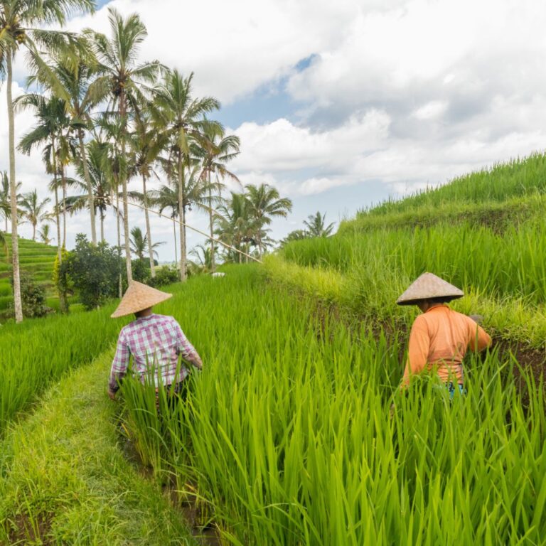 Lands: Agricultural and Food Security